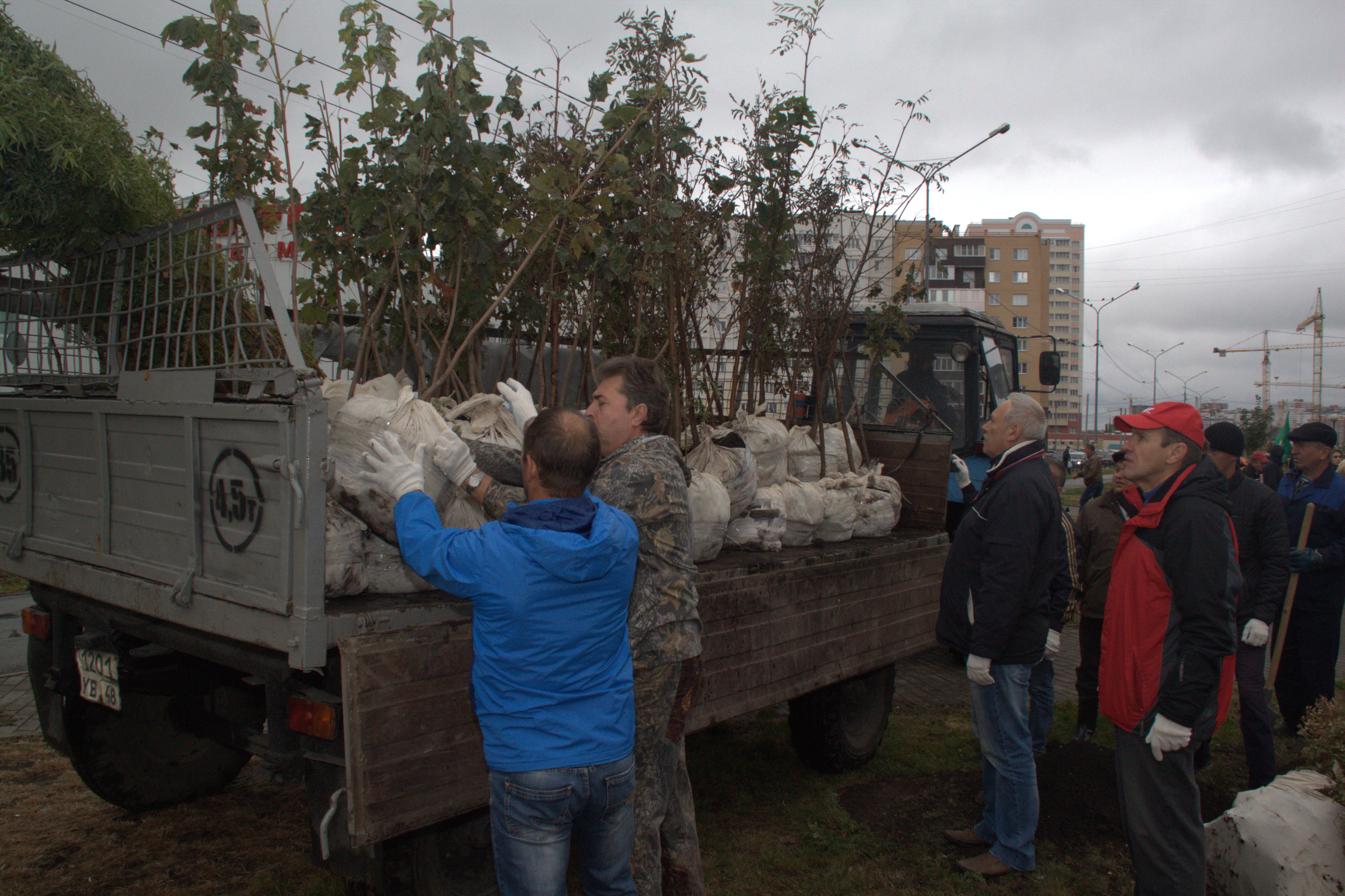 Проект Галины Лиховозовой «Посади дерево - подари городу чистый воздух»