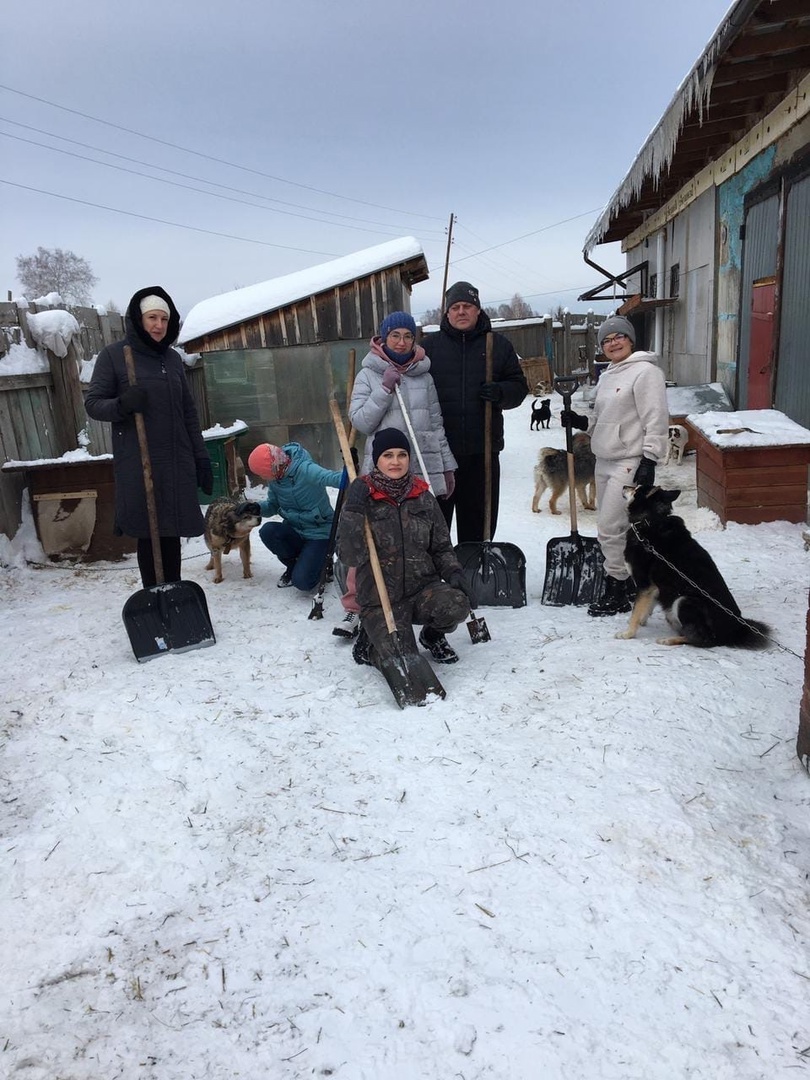Неравнодушные помогают четвероногим