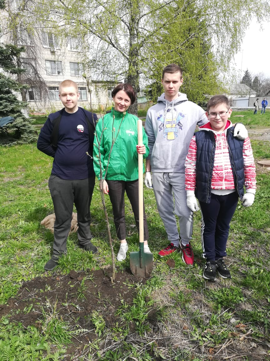 «Милосердие» помогает озеленять Липецк