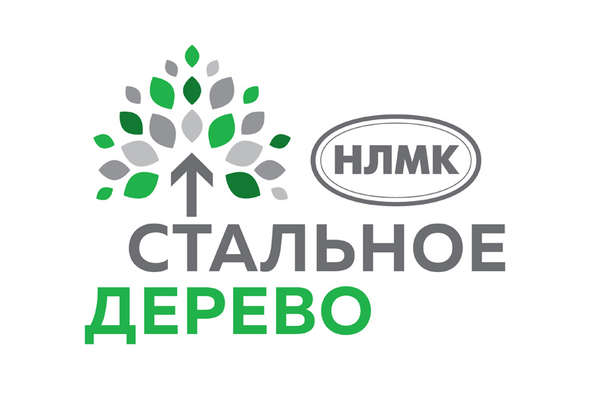 В Липецке стартовали новые проекты инициативы НЛМК «Стальное дерево»