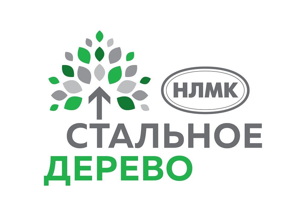 В пяти регионах России начался отбор лучших социальных проектов программы «Стальное дерево» 