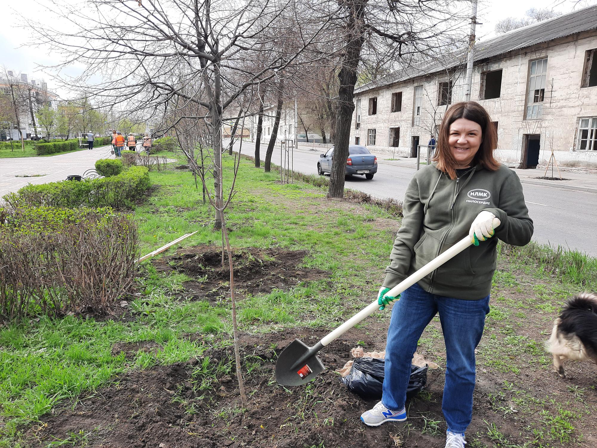 Фонд «Милосердие» начинает озеленение липецких дворов и скверов 
