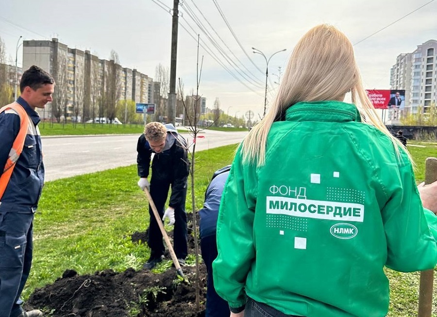 Волонтеры фонда украсят Липецк новыми деревьями