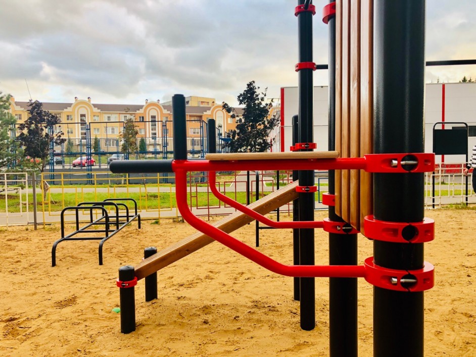 Площадка Workout в Обнинске, “Стальное дерево 2019”