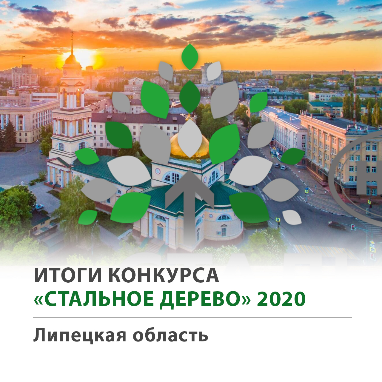 Стальное Дерево 2020 Липецкая область